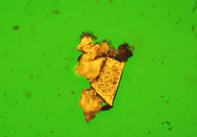 鐵譜檢測技術測定的內容和油液污染度檢測